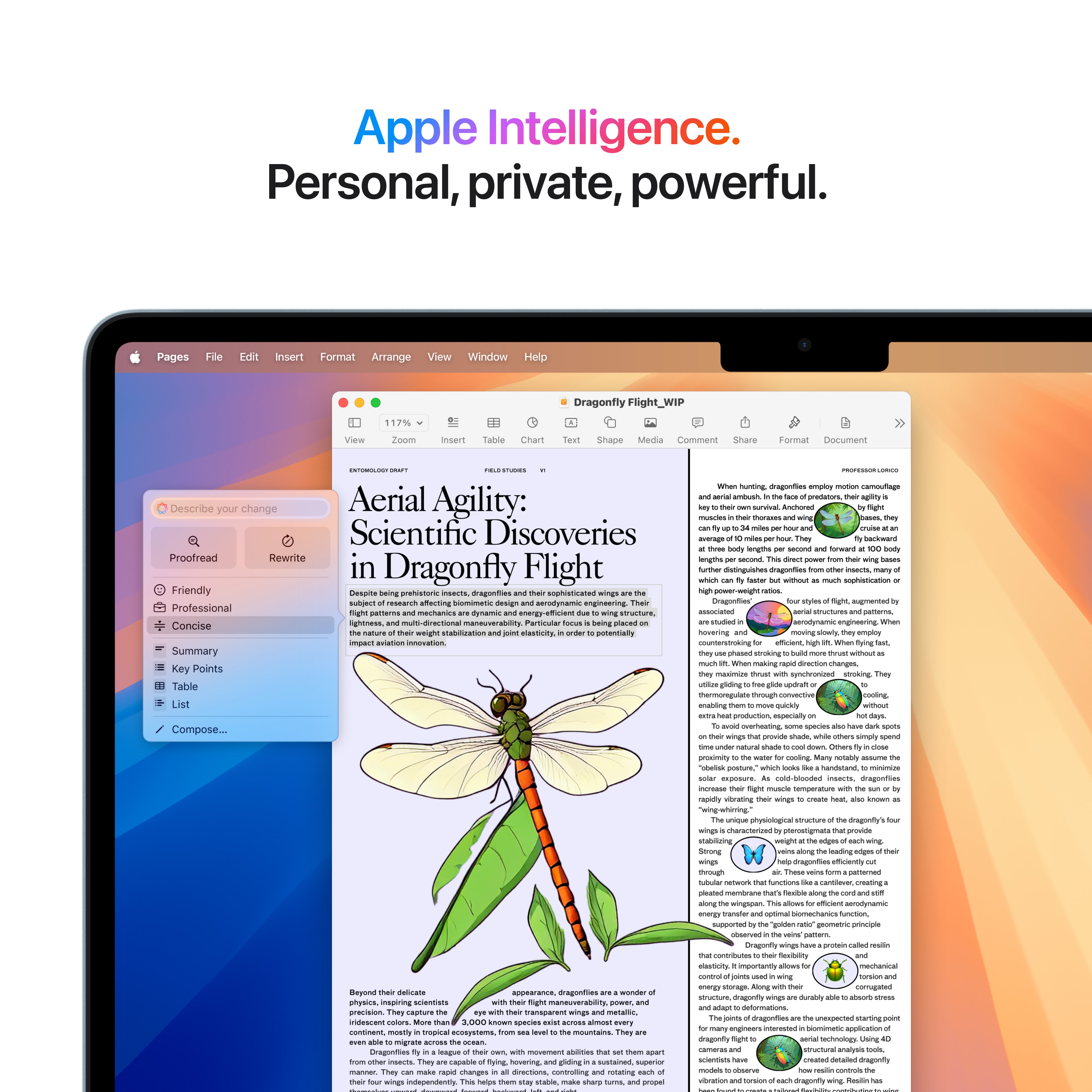 13-Inch MacBook Air: Apple M4 Chip with 10-Core CPU and 8-Core GPU, 16GB, 256GB SSD - Sky Blue