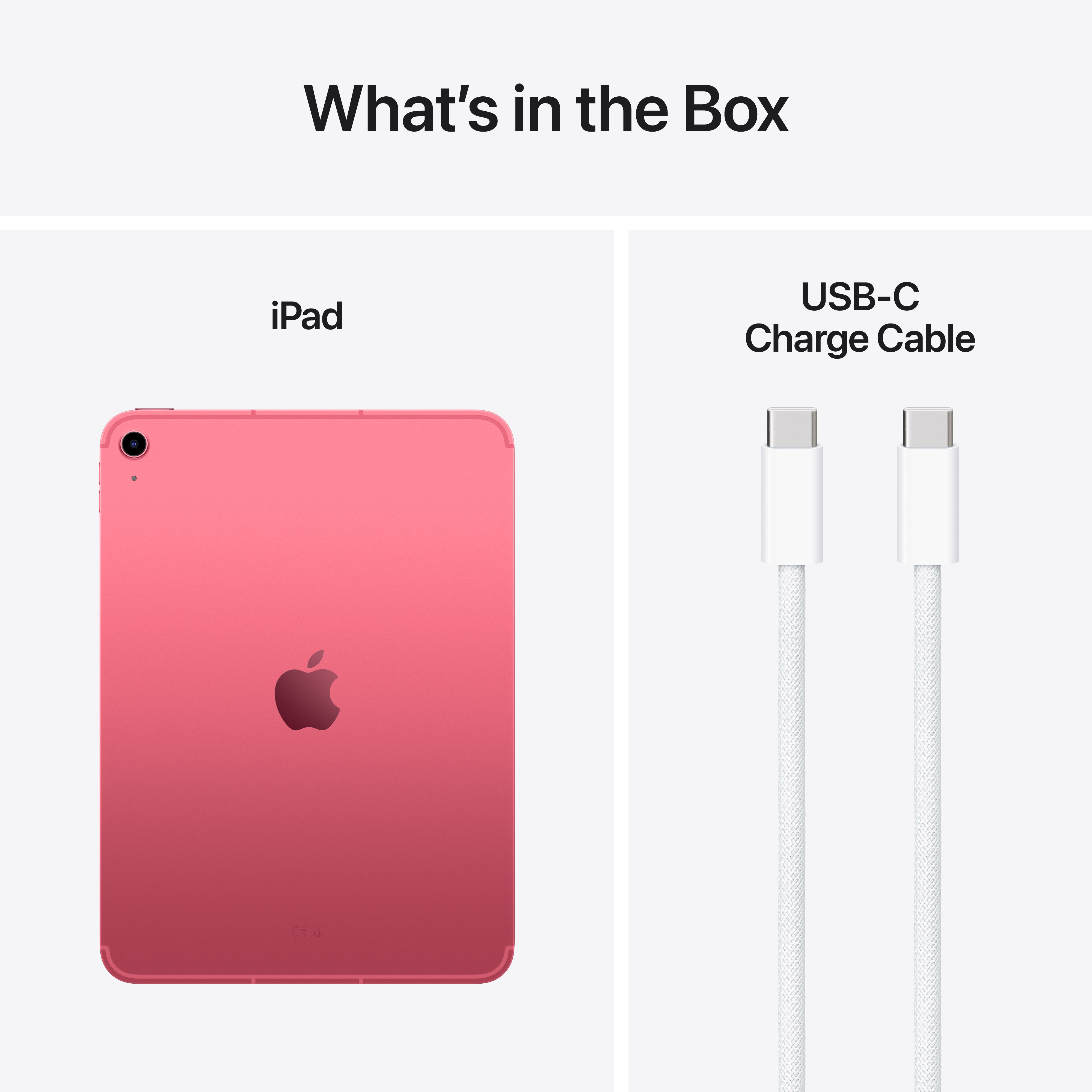 iPad Wifi + Cellular 256GB