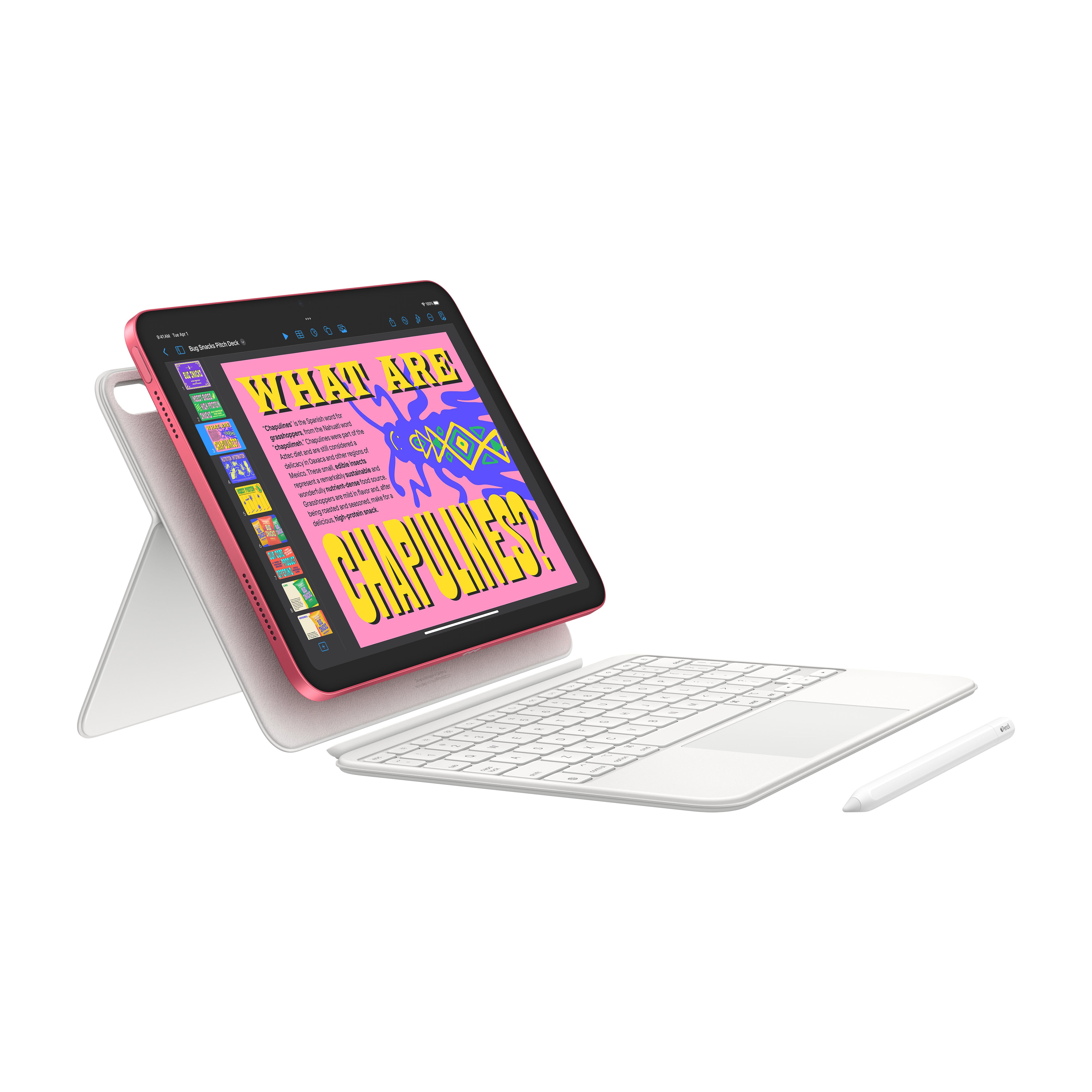 iPad WIFI 256GB