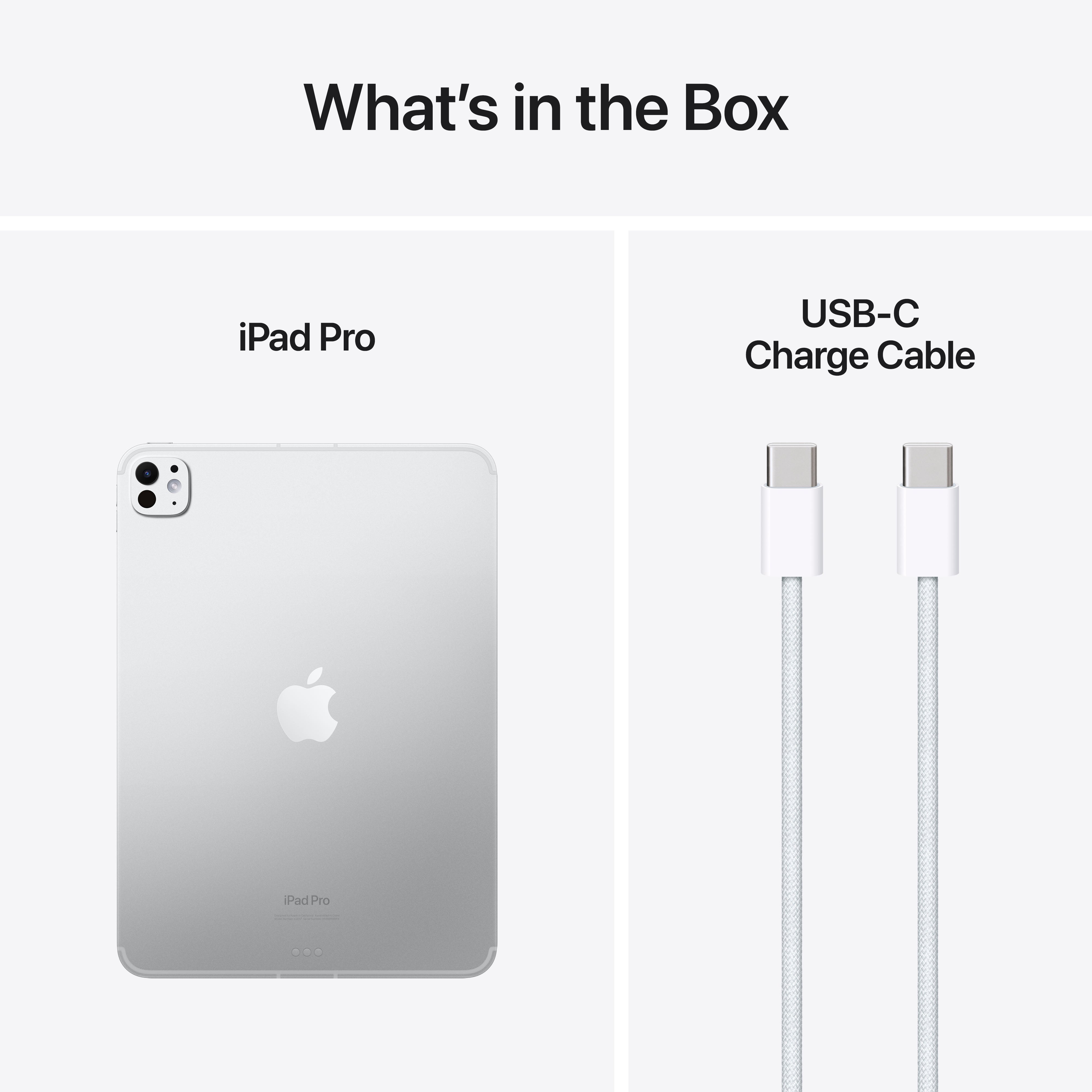 11 iPad Pro Wifi+Cellular 2TB