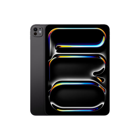iPad Pro 11 Wifi 256GB