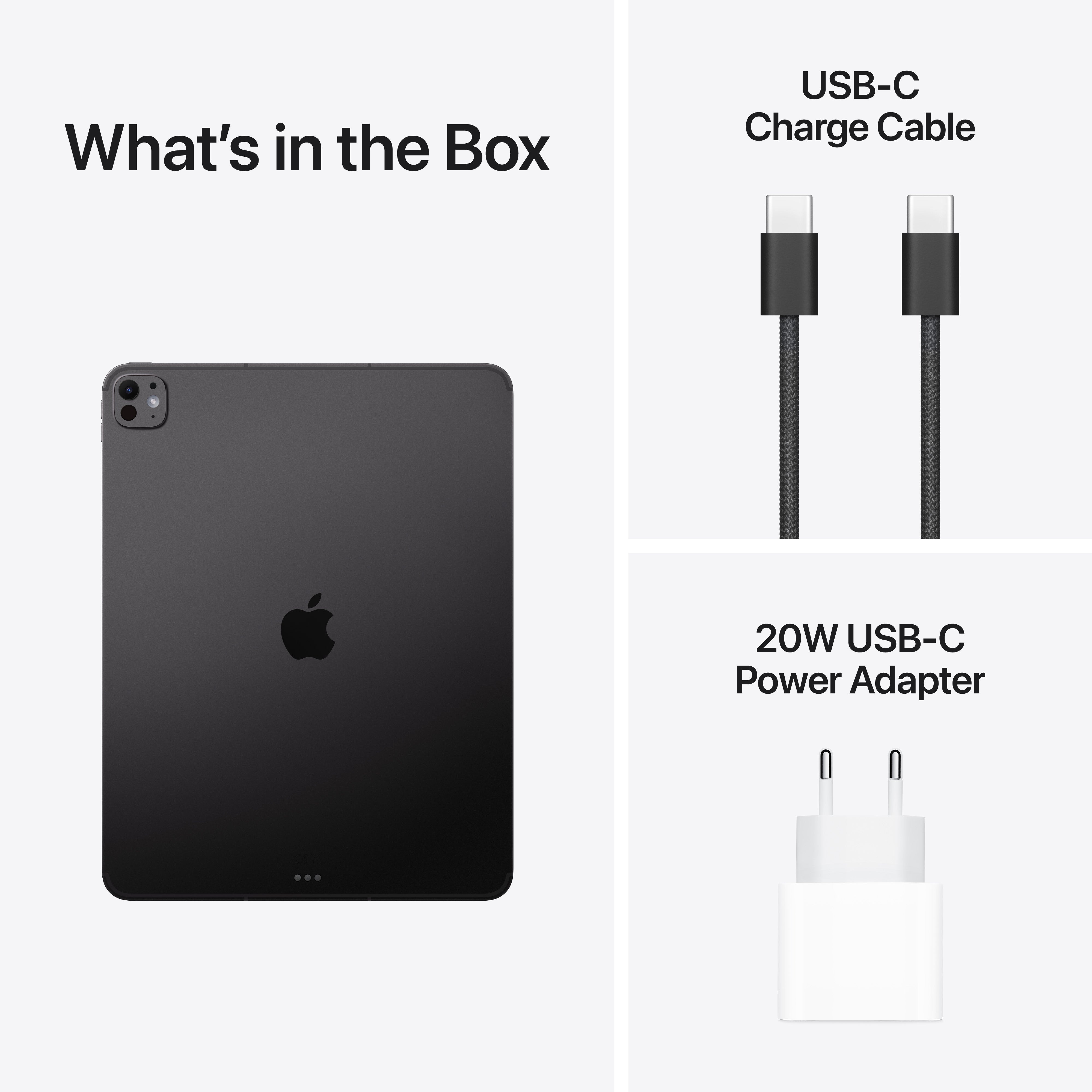 13-inch iPad Pro Wi‑Fi + Cellular 256GB with standard glass - Space Black