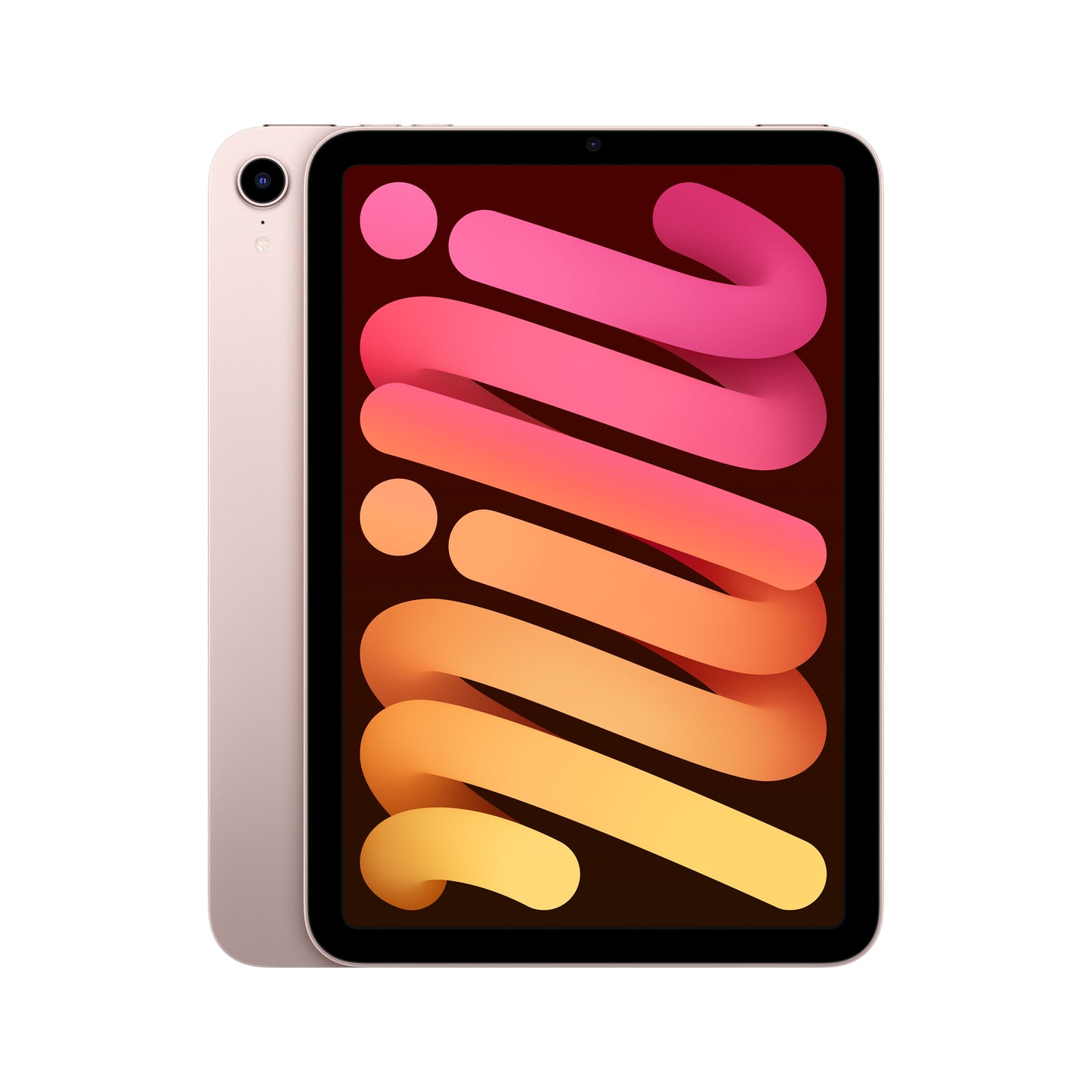 iPad Mini Wifi + Cellular 256GB