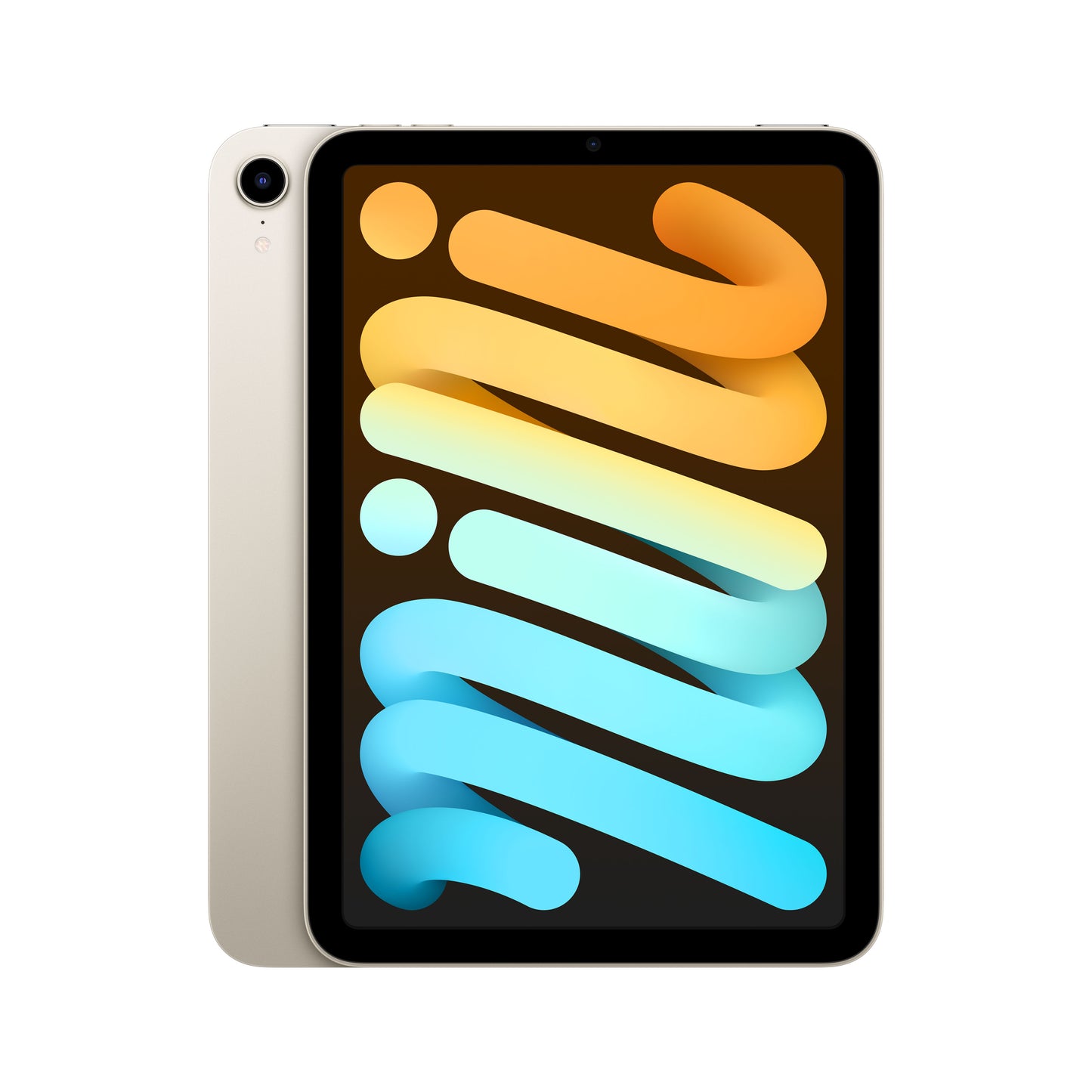 iPad Mini Wifi + Cellular 256GB