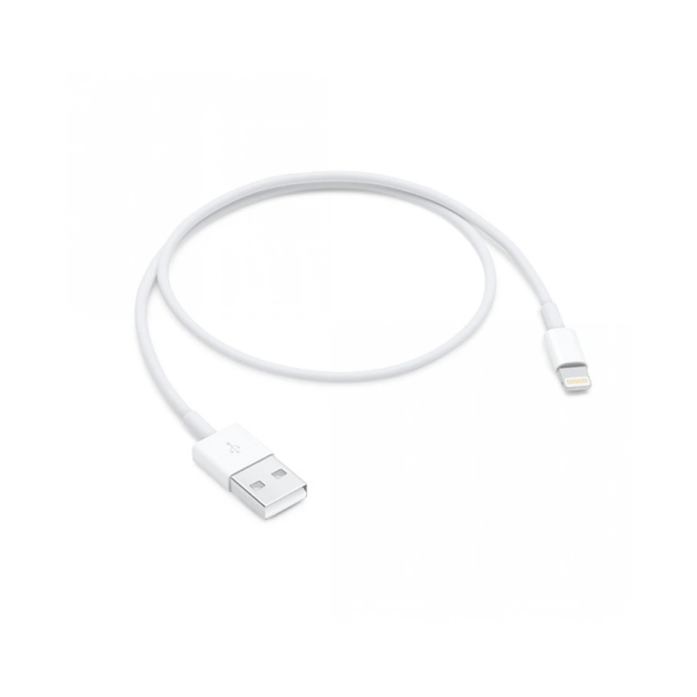 Lightning To USB Cable (0.5 m)